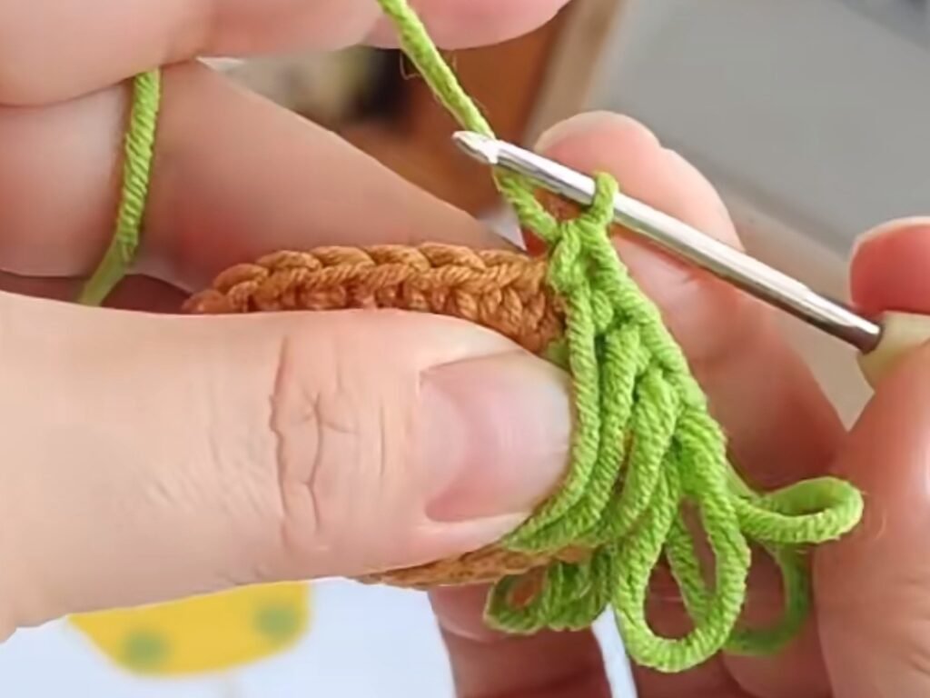 Loop Stitch Step-by-Step Insturctions