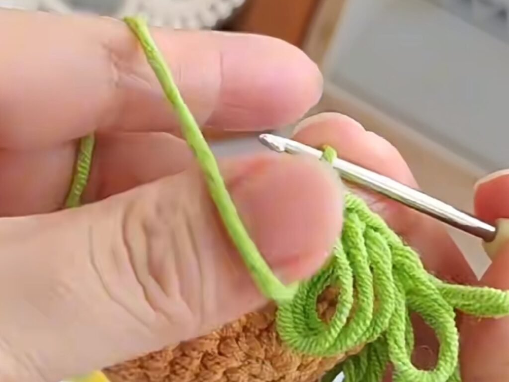 Loop Stitch Step-by-Step Insturctions