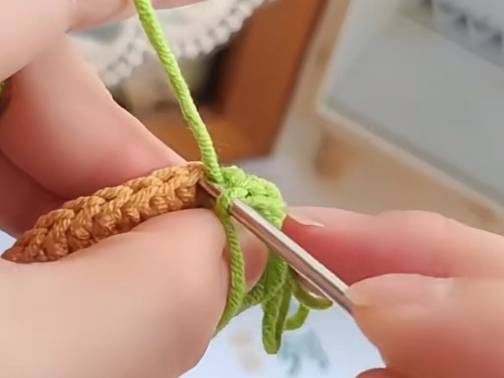 Loop Stitch Step-by-Step Insturctions