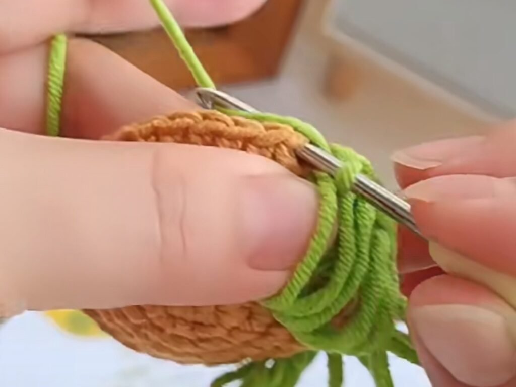 Loop Stitch Step-by-Step Insturctions