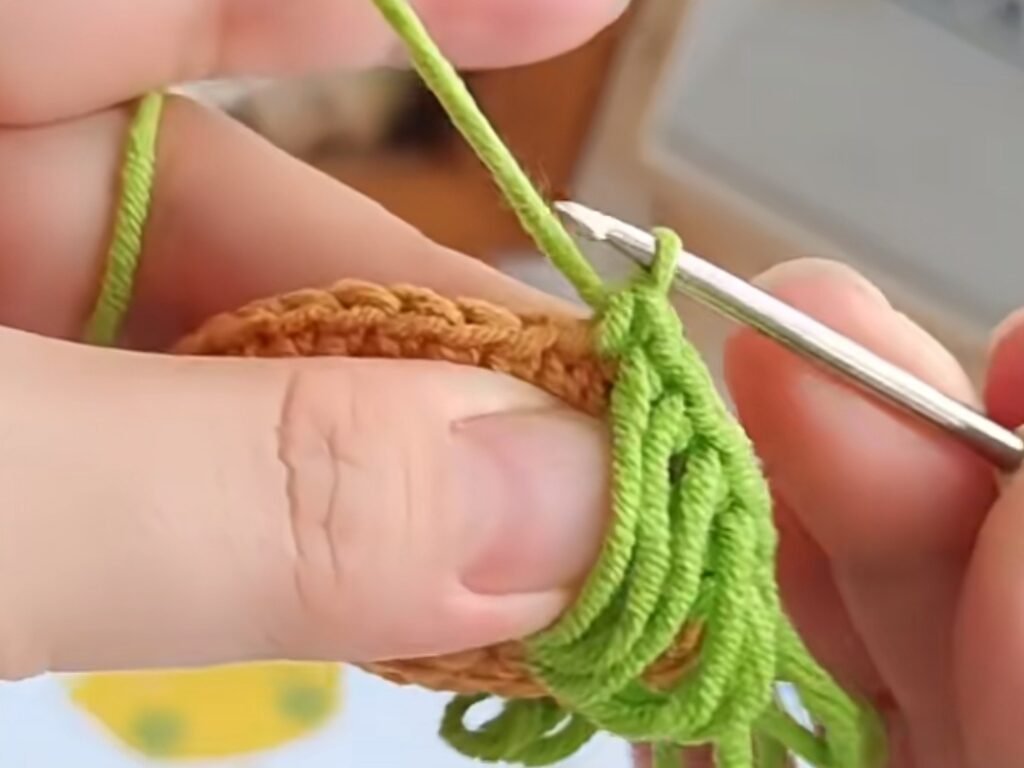 Loop Stitch Step-by-Step Insturctions